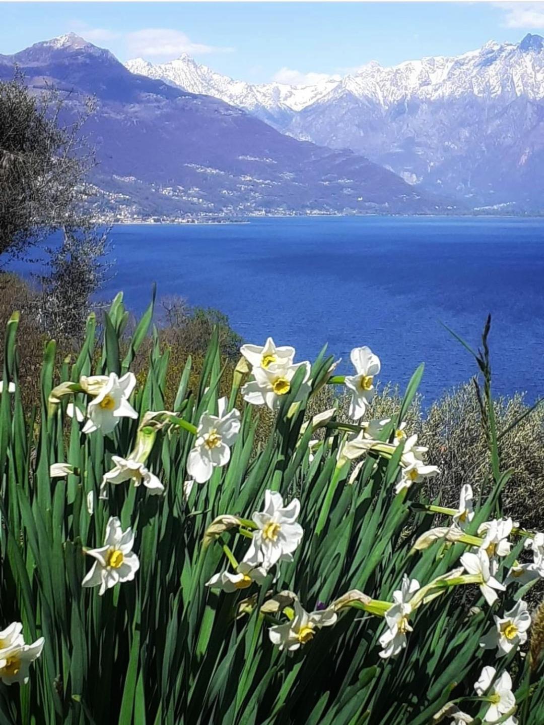 Balcony On Lake Pianello Pianello Del Lario Zewnętrze zdjęcie